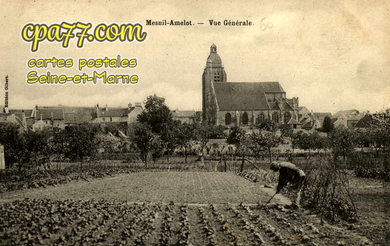 Le Mesnil Amelot (Seine-et-Marne) - Vue Générale