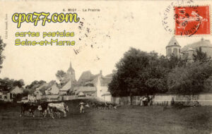 Misy Sur Yonne (Seine-et-Marne) - La Prairie