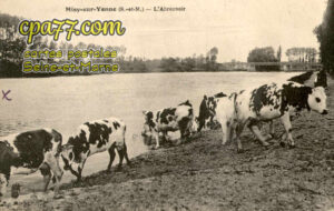 Misy Sur Yonne (Seine-et-Marne) - L&rsquo;Abreuvoir