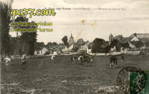 Misy Sur Yonne (Seine-et-Marne) - La Pâture et un coin du Pays