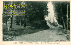Misy Sur Yonne (Seine-et-Marne) - Route de Villeneuve-la-Guyard