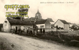 Misy Sur Yonne (Seine-et-Marne) - La Prairie