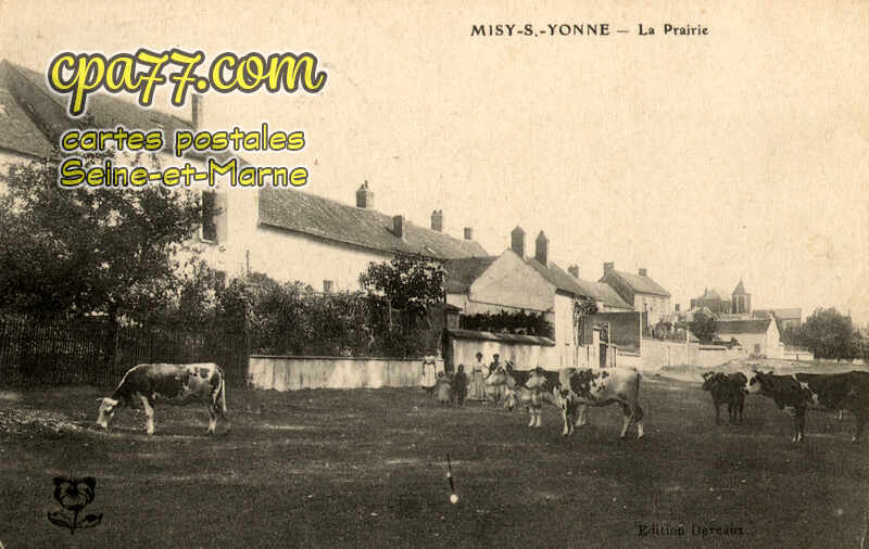 Misy Sur Yonne (Seine-et-Marne) - La Prairie
