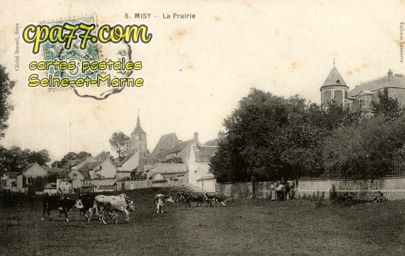 Misy Sur Yonne (Seine-et-Marne) - La Prairie