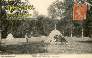 Mitry Mory (Seine-et-Marne) - Les Sports