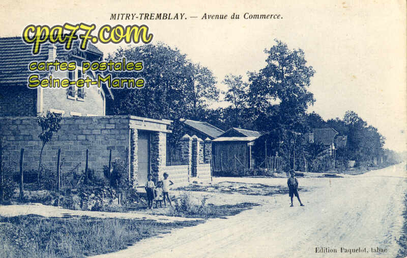 Mitry Mory (Seine-et-Marne) - Avenue du Commerce