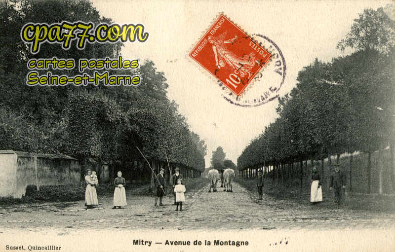Mitry Mory (Seine-et-Marne) - Avenue de la Montagne