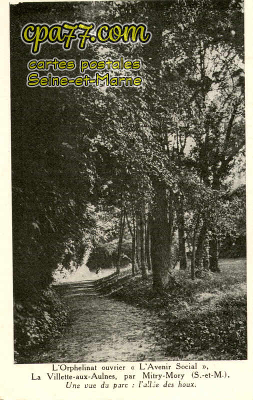 Mitry Mory (Seine-et-Marne) - L&rsquo;Orphelinat ouvrier « L&rsquo;Avenir Social » La Villette-aux-Aulnes – Une vue du Parc : l&rsquo;allée des houx