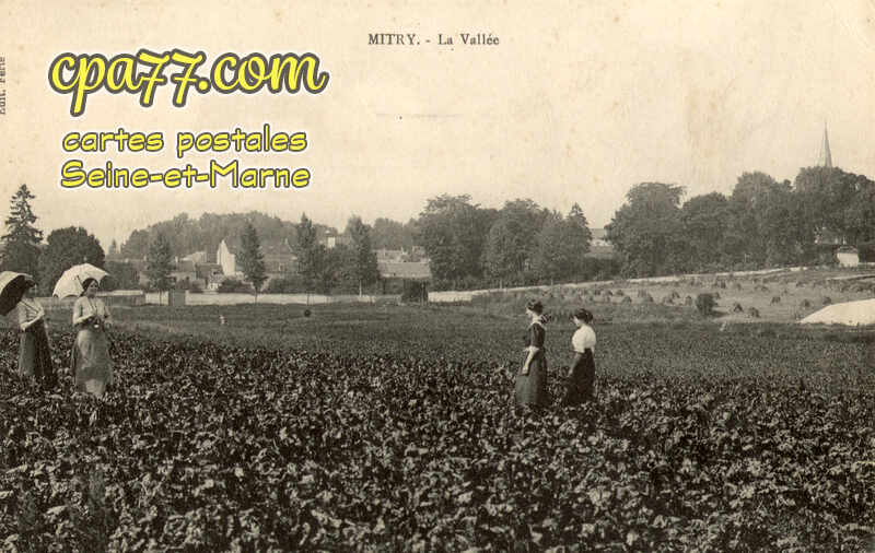 Mitry Mory (Seine-et-Marne) - La Vallée