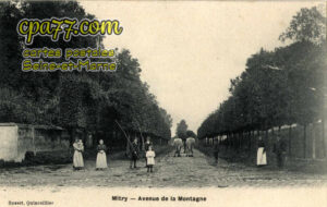 Mitry Mory (Seine-et-Marne) - Avenue de la Montagne