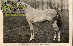 Moissy Cramayel (Seine-et-Marne) - Haras d&rsquo;Eprunes