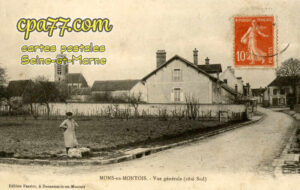 Mons En Montois (Seine-et-Marne) - Vue générale (côté sud)