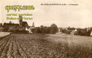 Mons En Montois (Seine-et-Marne) - Le Panorama