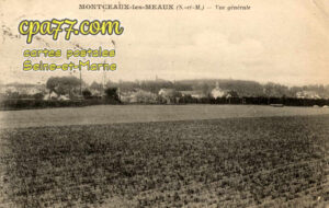 Montceaux Lès Meaux (Seine-et-Marne) - Vue générale