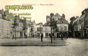 Montereau Fault Yonne (Seine-et-Marne) - Place aux Blés