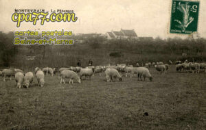 Montévrain (Seine-et-Marne) - Le Pâturage