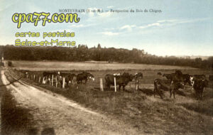 Montévrain (Seine-et-Marne) - Perspective du Bois de Chigny