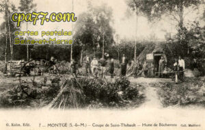 Montgé En Goële (Seine-et-Marne) - Coupe de Saint-Thibault – Hutte de Bûcherons