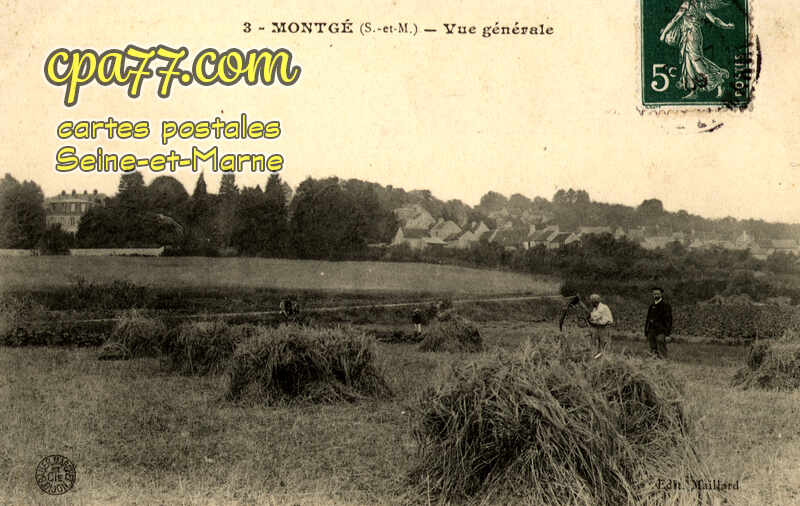 Montgé En Goële (Seine-et-Marne) - Vue générale