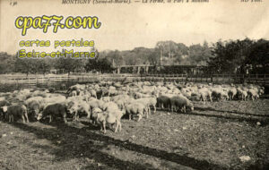 Montigny Lencoup (Seine-et-Marne) - La Ferme, le Parc à Moutons