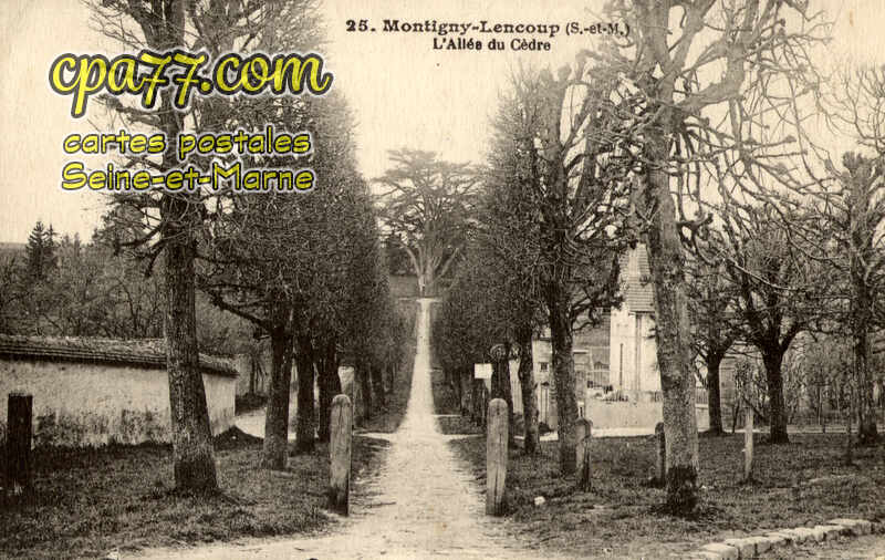 Montigny Lencoup (Seine-et-Marne) - L&rsquo;Allée du Cèdre