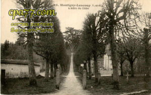 Montigny Lencoup (Seine-et-Marne) - L&rsquo;Allée du Cèdre