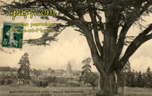 Montigny Lencoup (Seine-et-Marne) - Souvenir d&rsquo;une promenade au Cèdre