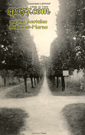 Montigny Lencoup (Seine-et-Marne) - L&rsquo;Allée du Cèdre