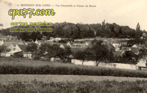 Montigny Sur Loing (Seine-et-Marne) - Vue d&rsquo;ensemble et Côteau de Brosse