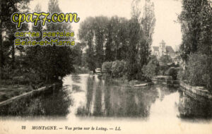 Montigny Sur Loing (Seine-et-Marne) - Vue prise sur le Loing