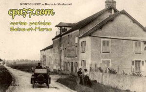 Montolivet (Seine-et-Marne) - Route de Montmirail