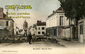 Mormant (Seine-et-Marne) - Rue de Paris