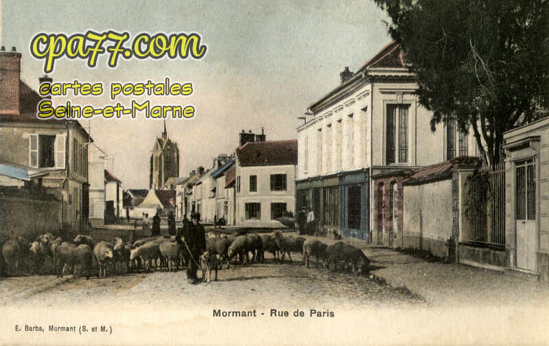 Mormant (Seine-et-Marne) - Rue de Paris