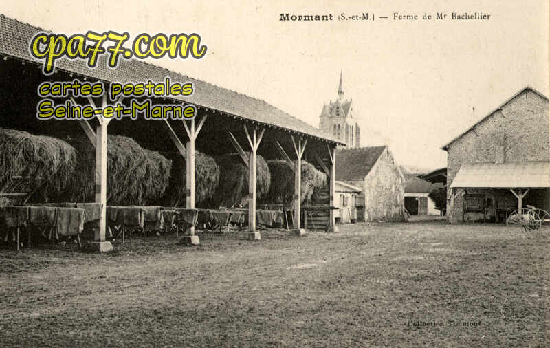 Mormant (Seine-et-Marne) - Ferme de Mr Bachellier