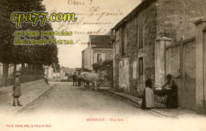 Mormant (Seine-et-Marne) - Une Rue