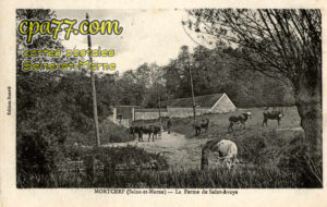 Mortcerf (Seine-et-Marne) - La Ferme de Saint-Avoye