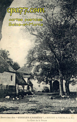 Moussy Le Vieux (Seine-et-Marne) - Domaine des  » Gueules Cassées  » – La Cour de la Ferme