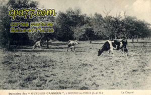Moussy Le Vieux (Seine-et-Marne) - Domaine des  » Gueules Cassées  » – Le Cheptel