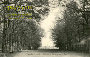 Nandy (Seine-et-Marne) - Clocher de Savigny, vu du Parc