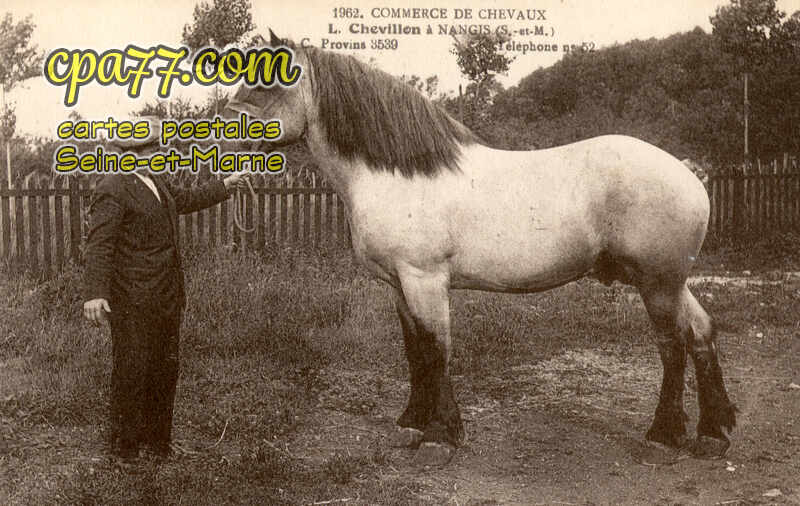 Nangis (Seine-et-Marne) - Commerce de Chevaux – L. Chevillon à Nangis (S.-et-M.)