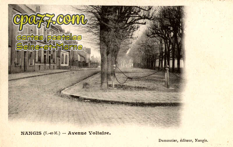 Nangis (Seine-et-Marne) - Avenue Voltaire