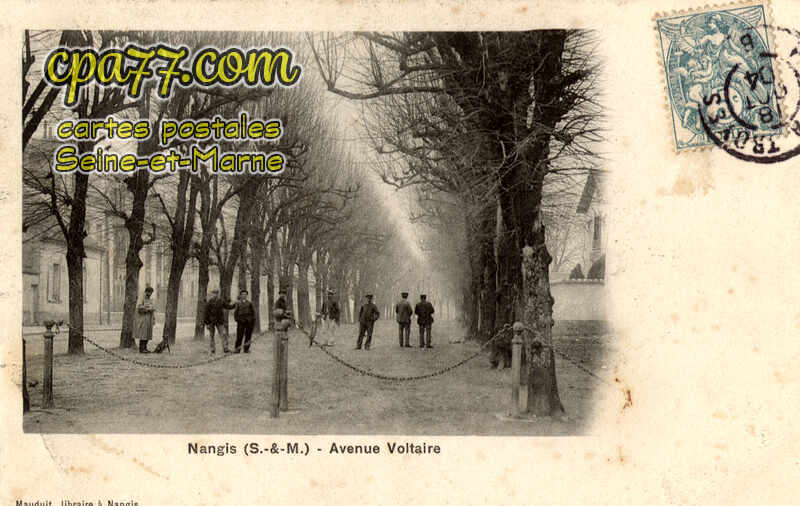 Nangis (Seine-et-Marne) - Avenue Voltaire