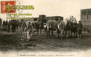 Nangis (Seine-et-Marne) - La Chasse à Courre – Débarquement des Chevaux