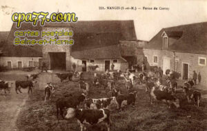 Nangis (Seine-et-Marne) - Ferme du Corroy