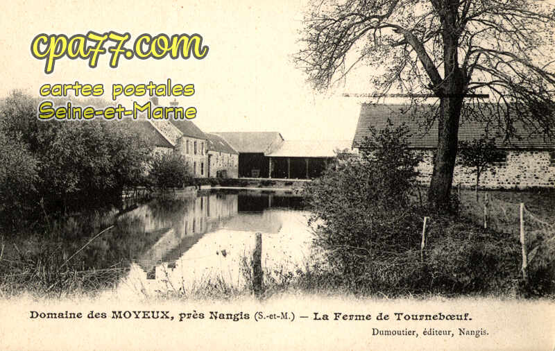 Nangis (Seine-et-Marne) - La Ferme de Tourneboeuf