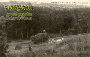 Nanteuil Lès Meaux (Seine-et-Marne) - Vue générale