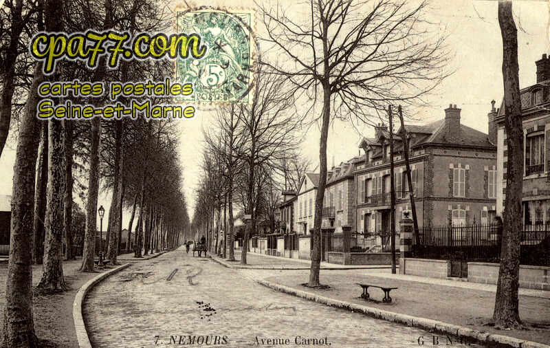 Nemours (Seine-et-Marne) - Avenue Carnot