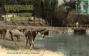 Noyen Sur Seine (Seine-et-Marne) - L&rsquo;Abreuvoir