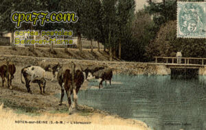 Noyen Sur Seine (Seine-et-Marne) - L&rsquo;Abreuvoir