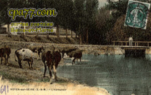 Noyen Sur Seine (Seine-et-Marne) - L&rsquo;Abreuvoir